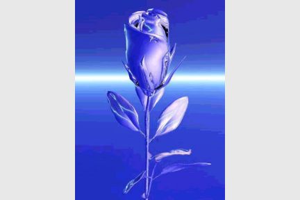 bluerose.jpg